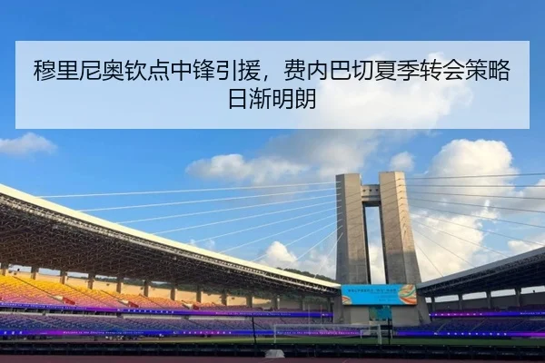 穆里尼奥钦点中锋引援，费内巴切夏季转会策略日渐明朗